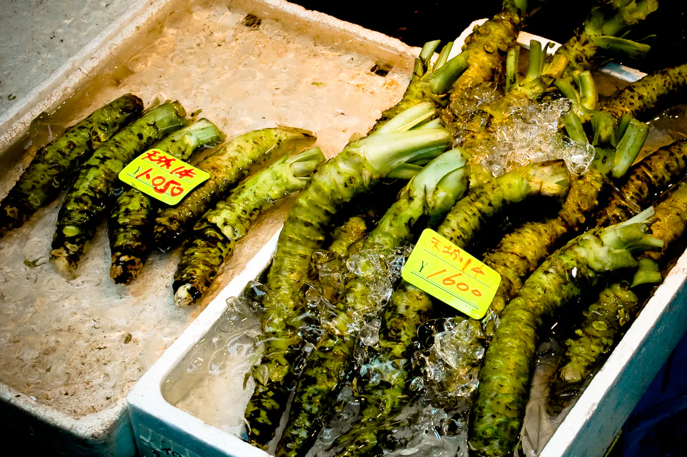 wasabi