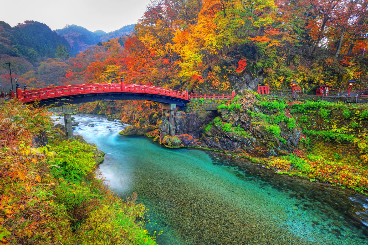 nikko