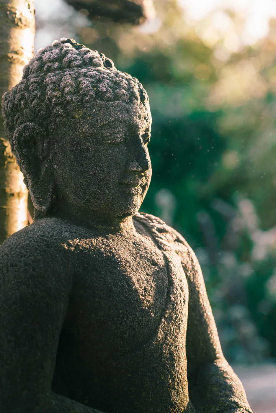 buddha