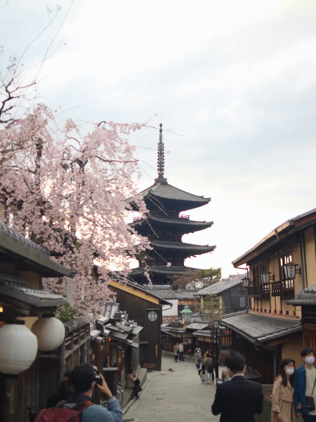 hanami kyoto