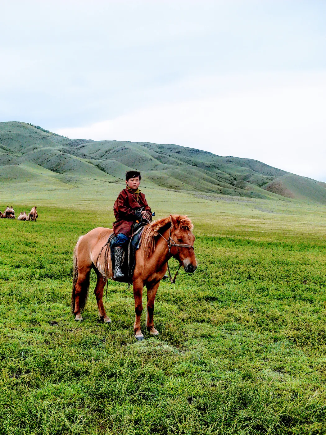 mongolia
