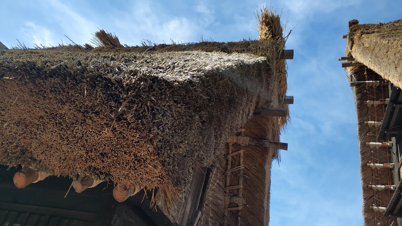 Manutenzione delle case in legno