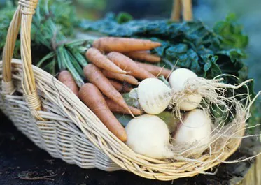 verdure insalata di patate giapponese