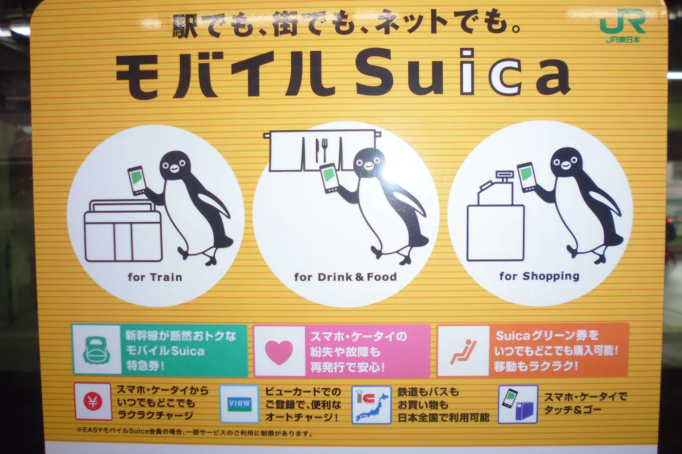 Guida alla suica