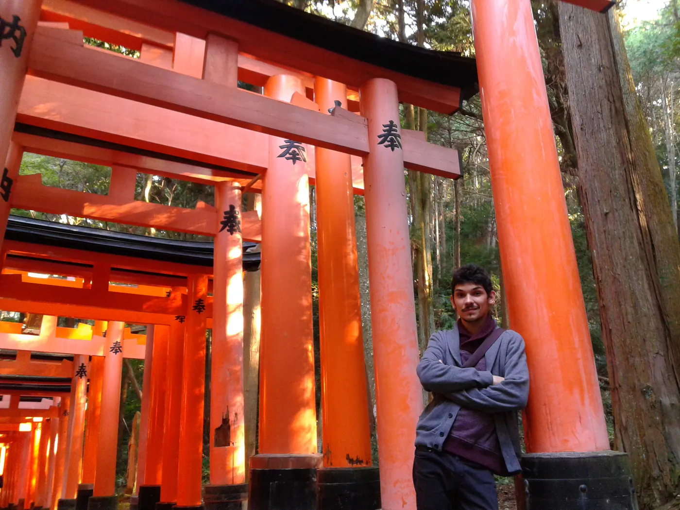 Vista dall'interno del Fushimi Inari