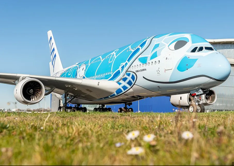 Aereo ANA decorato come una tartaruga marina azzurra.