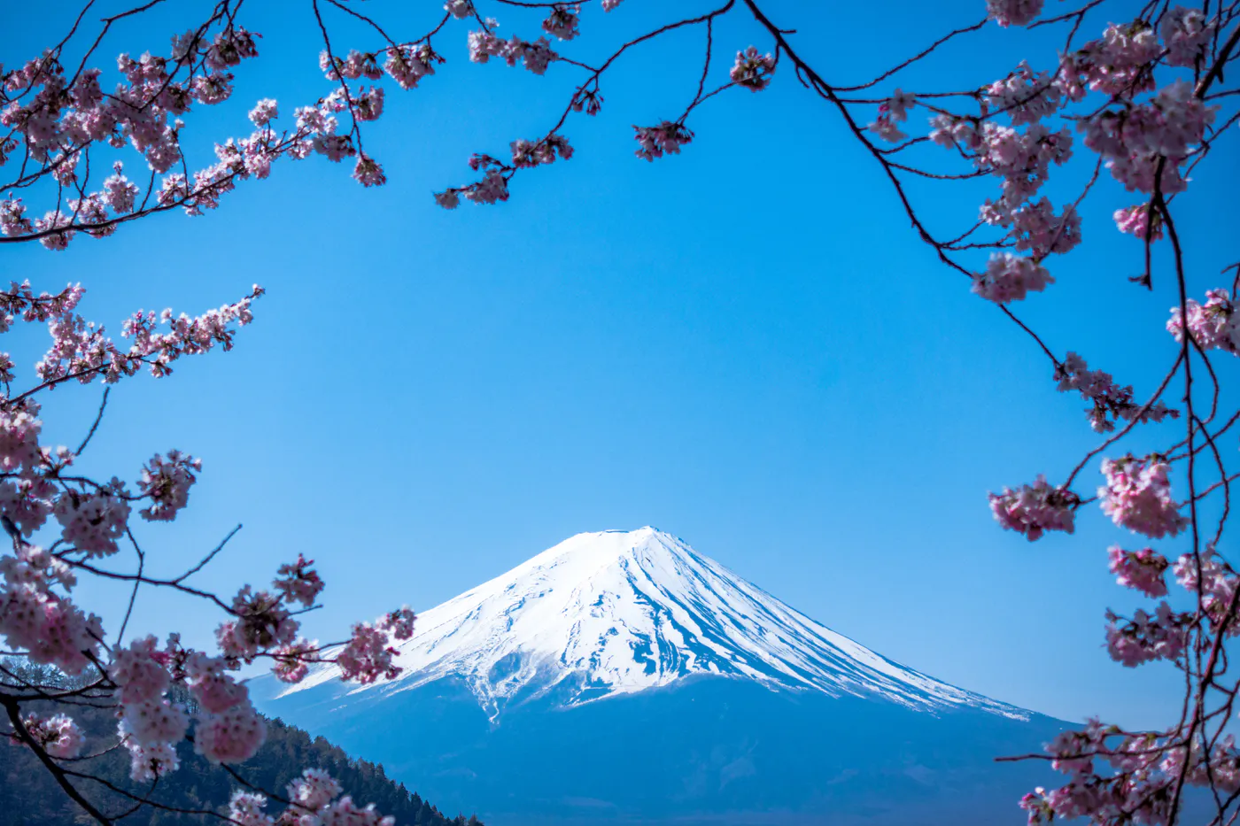 monte fuji giappone