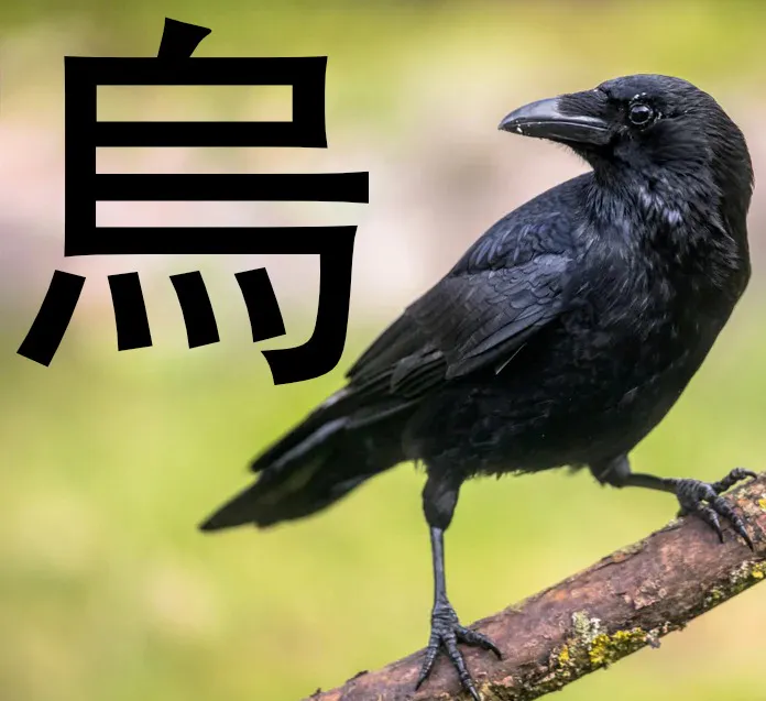 kanji di corvo 烏