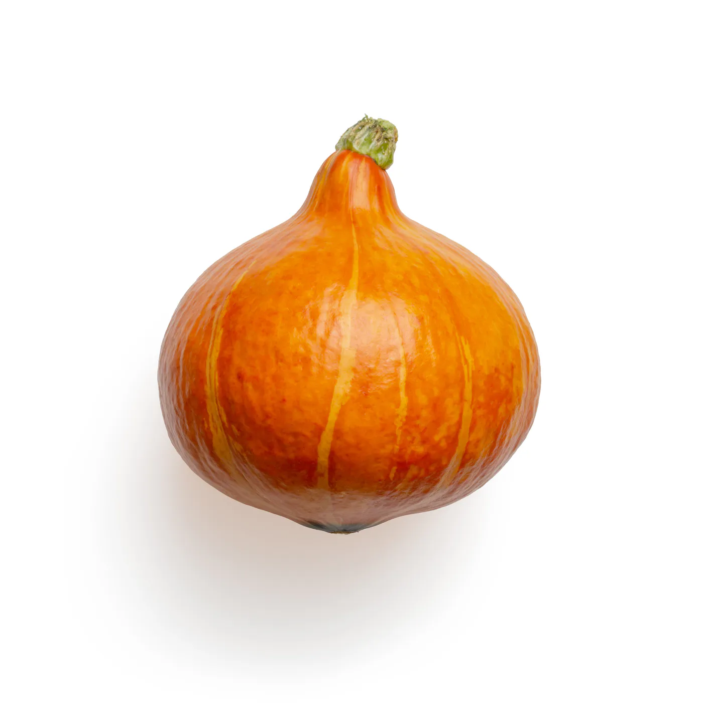Hokkaido zucca
